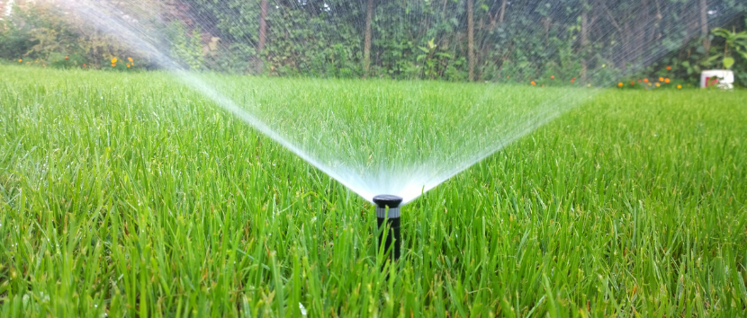 Image of a sprinkler watering grass.