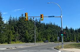 Traffic Lights Dogwood Alder