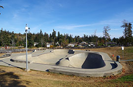 Image of the skate park