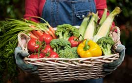 Local-Vegetables