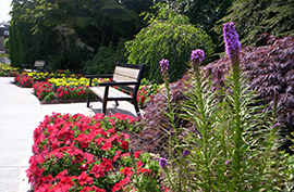 CityHallLegacyLandmarks_ floraldisplay