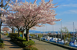 Georgia Quay_photgrapher_DonyneAudia