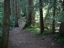 Oyster River Trail