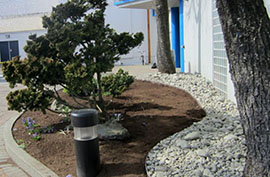 Tidemark Square Landscaping