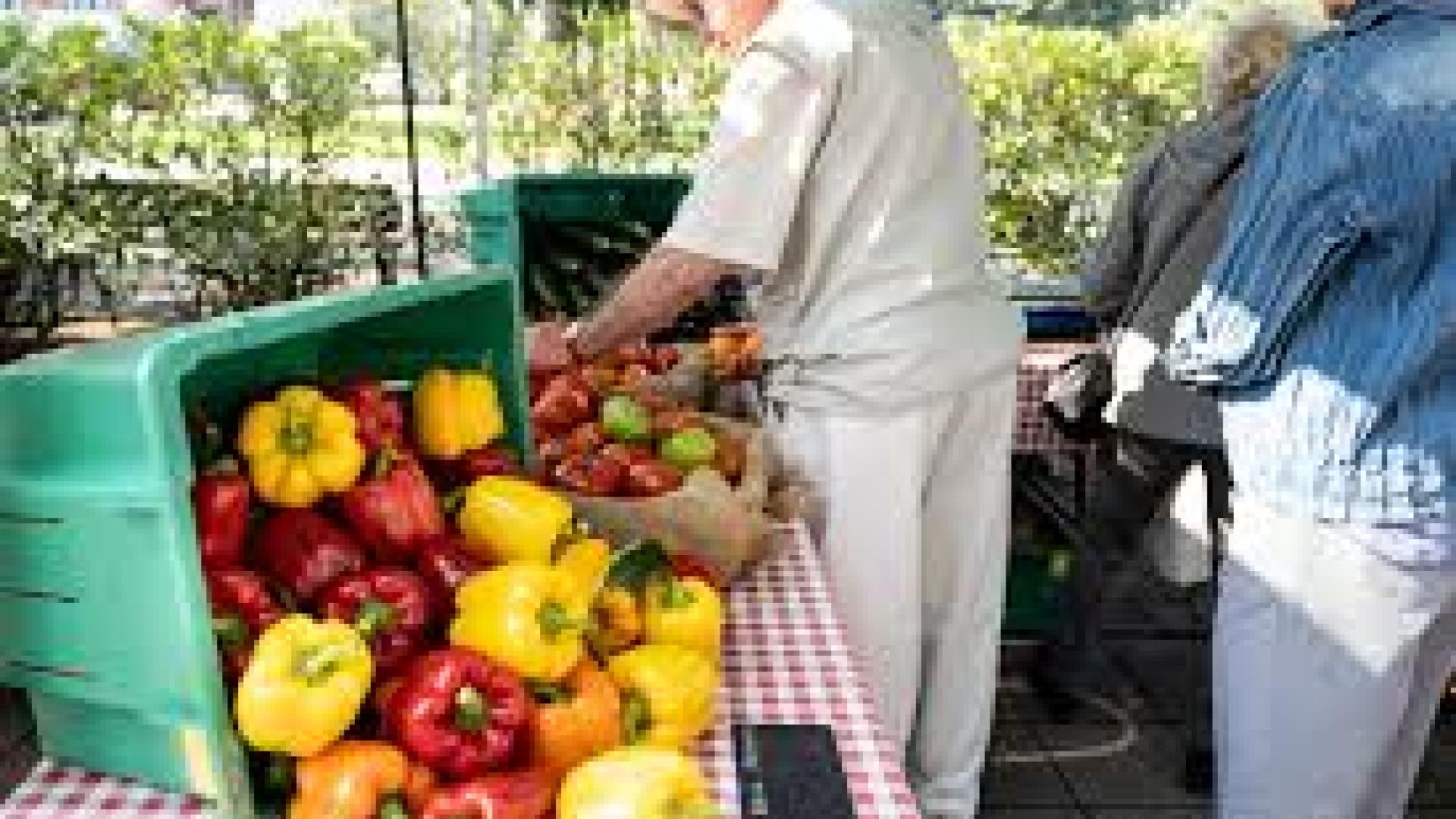 Senior man selects bell peppers at an outdoor market stand.