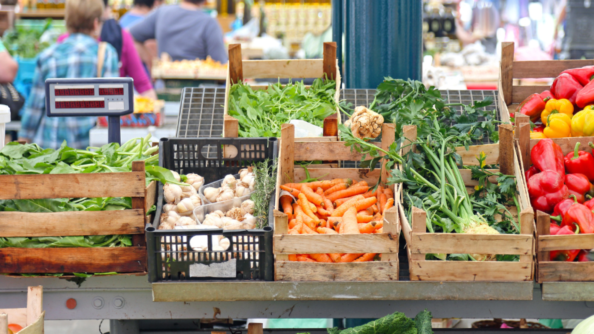 Vegetables at a market