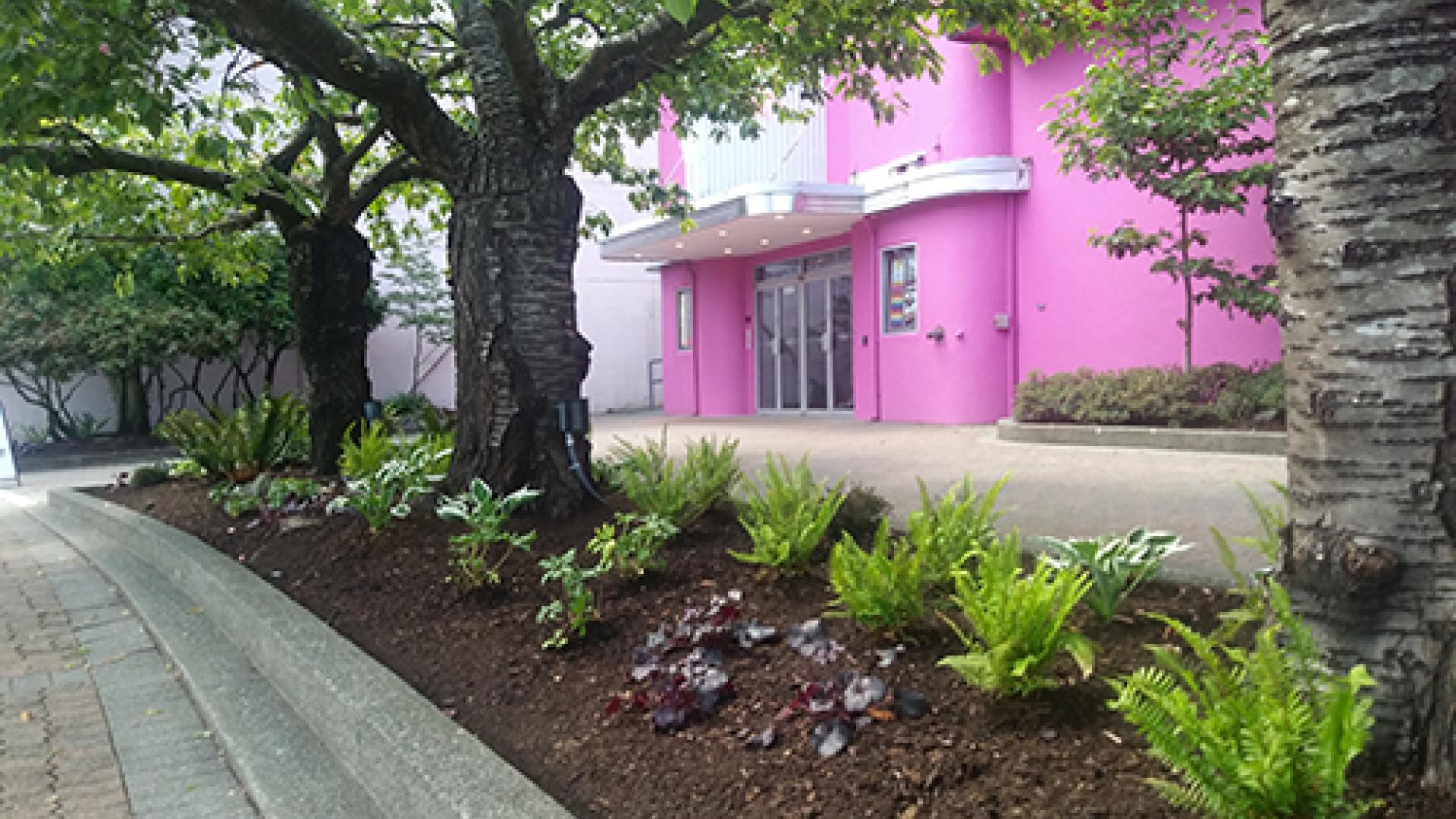 Bright pink Tidemark building in the background, surrounded by landscaped greenery with ferns, flowers, and trees in the foreground.