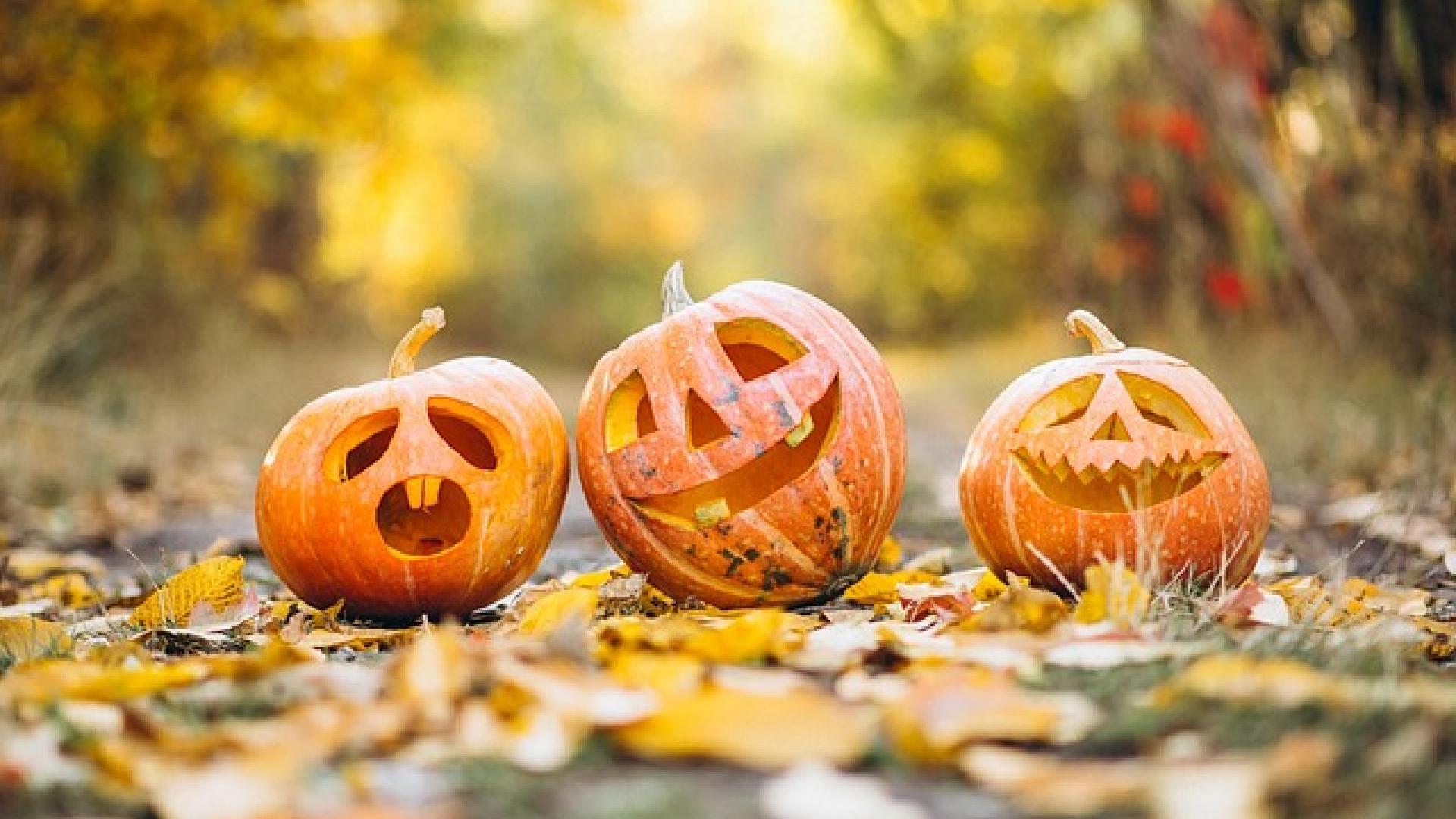 three jack-o'-lanterns with fall leaves