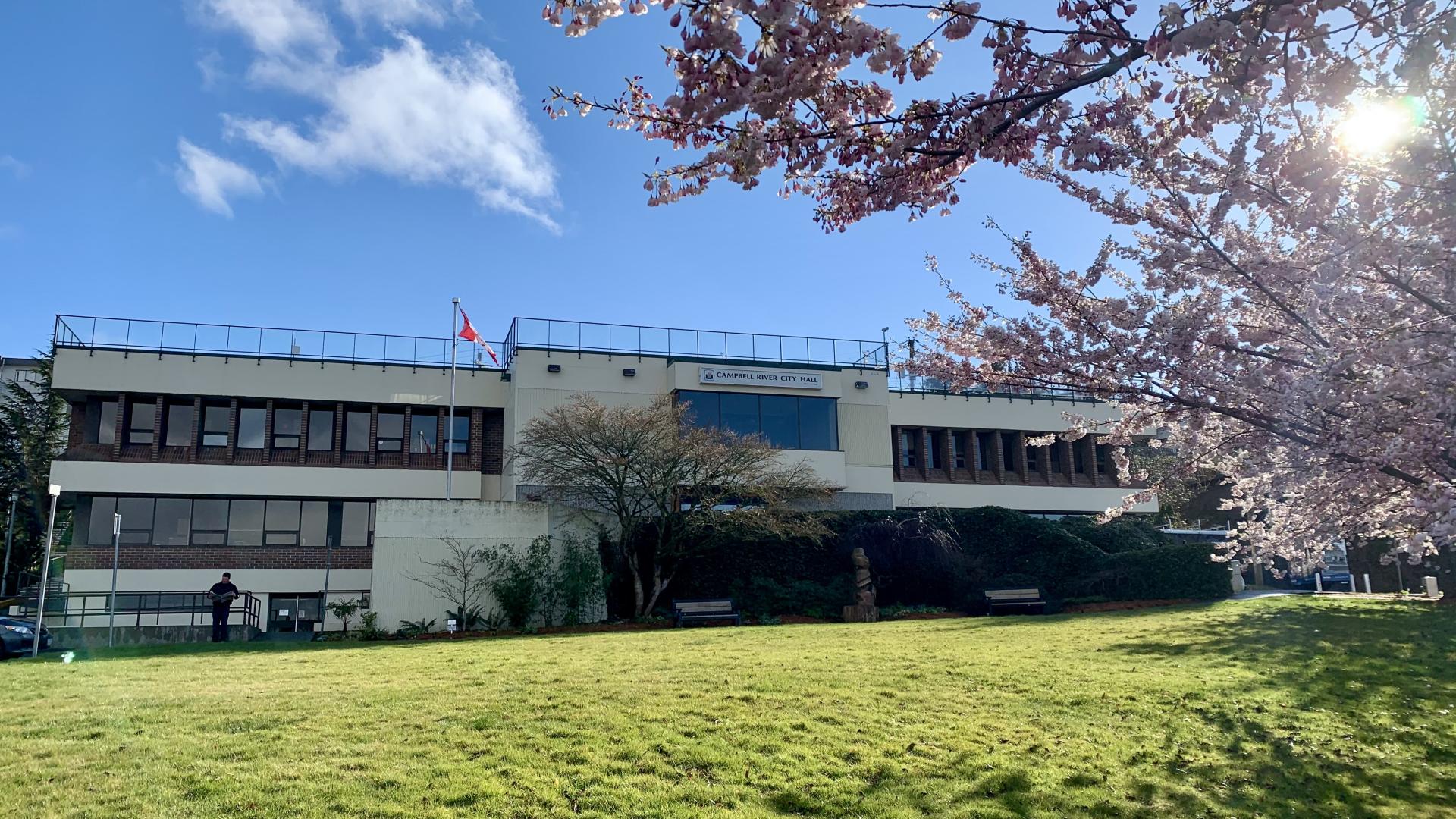 The front of City Hall under blue sunny skies framed by the cherry trees on the green front lawn.