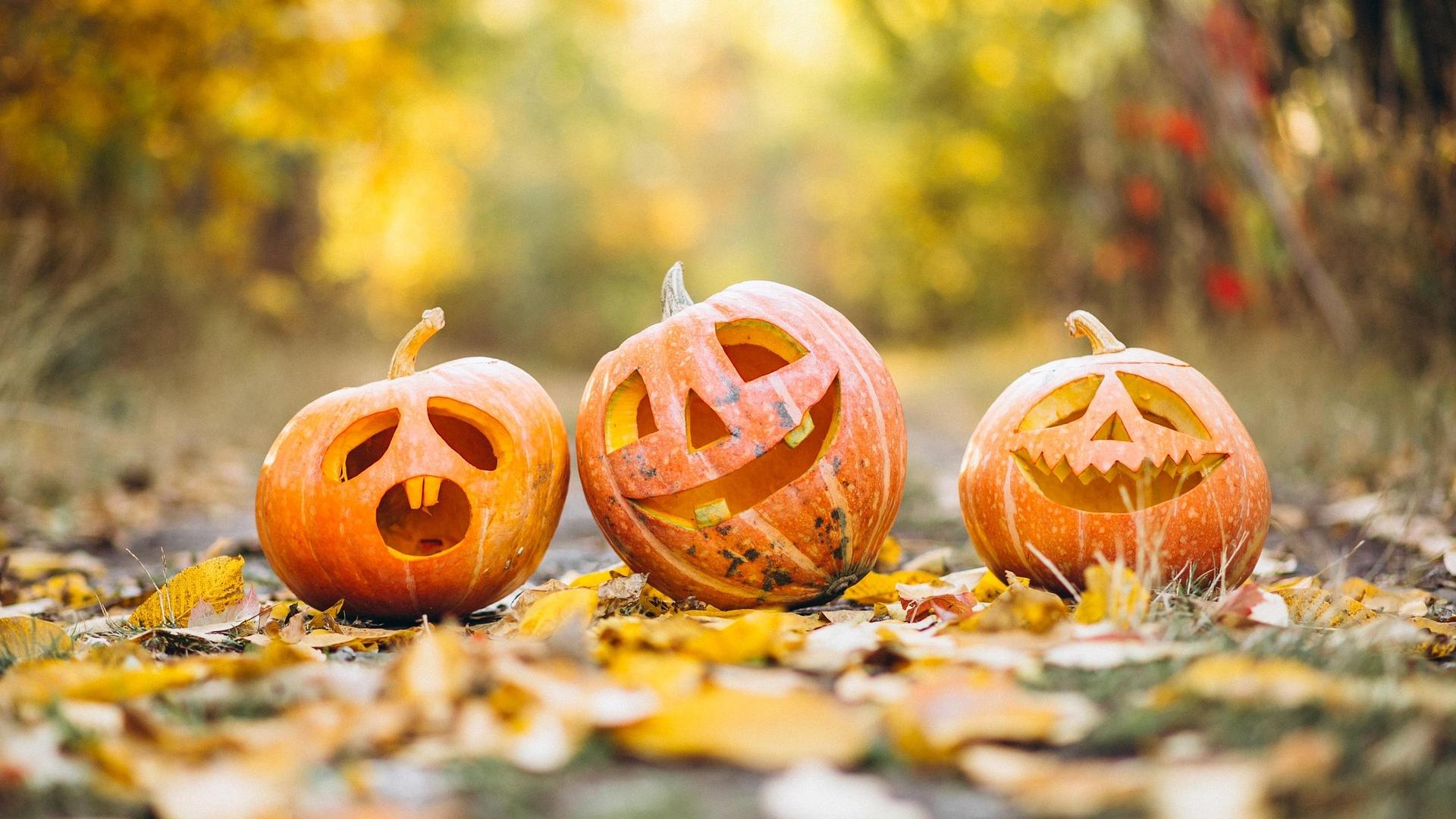 Three jack o'lanterns are on the ground with fall leaves and trees