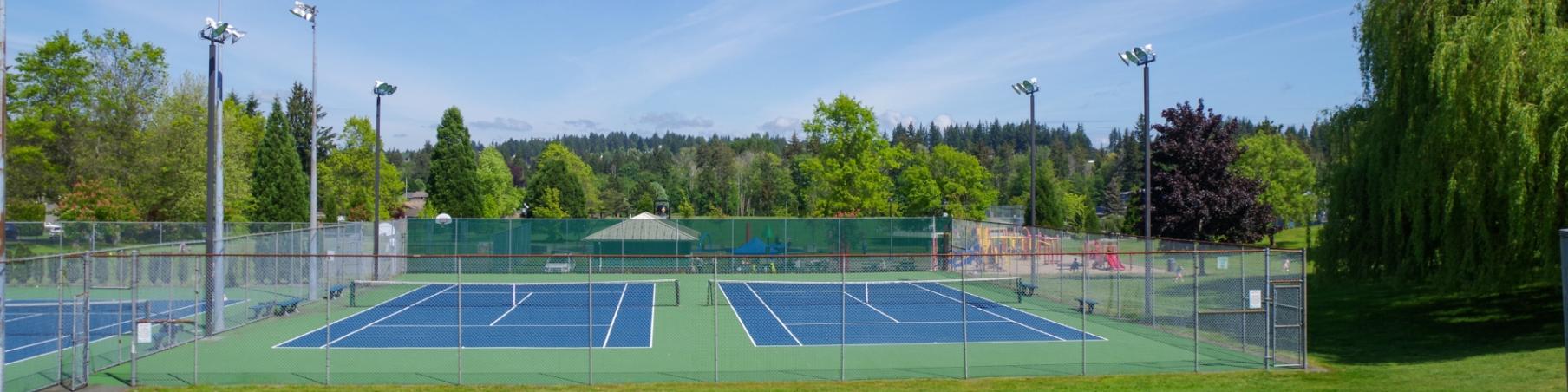 Two tennis courts side by side with large lighting posts surrounded by a fenced area and grass and trees.