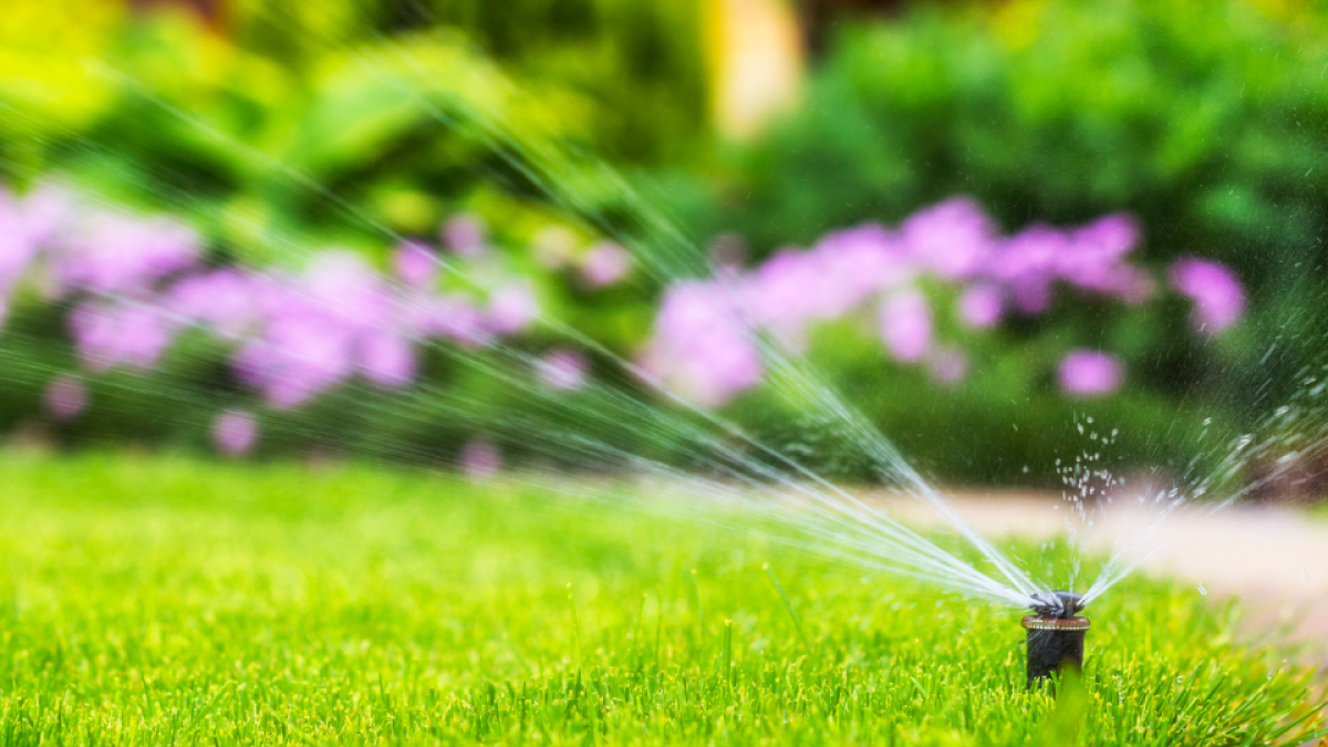 An irrigation sprinkler is on with green grass in the background.