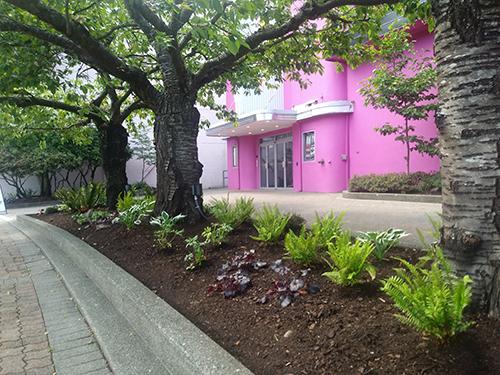 Bright pink Tidemark building in the background, surrounded by landscaped greenery with ferns, flowers, and trees in the foreground.